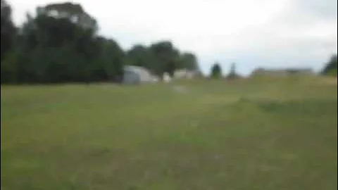 27 yr. old fast horse