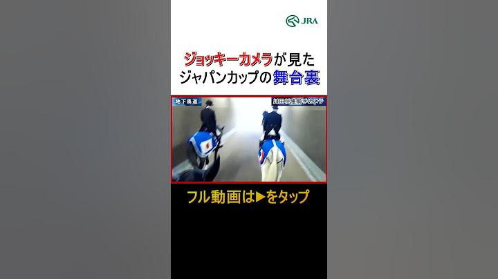 ジョッキーカメラは見た！「ジャパンカップの舞台裏」#ジャパンカップ #競馬 #shorts | JRA公式