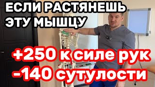 видео: Растяни эту мышцу +250 к силе рук -145 сутулости. Спина выпрямляется,онемение пальцев проходит сразу картинка: Растяни эту мышцу +250 к силе рук -145 сутулости. Спина выпрямляется,онемение пальцев проходит сразу
