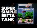 Aquascape Tutorial: Betta Cube Aquarium (How To Step By Step Planted Tank Guide)