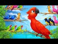 Bird Awaybird Away Sound 🦜