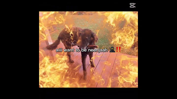 copy B2FDD51A B85F 48EC 95C5 F3997160AAFF