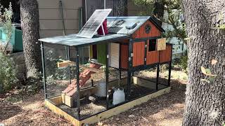 Producer’s Pride Sentinel Chicken Coop from Tractor Supply - Modifications