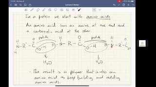 Lecture 5: Basics of biochemistry - Prof. Andrew Eckford