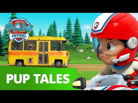 paw patrol rescue bus