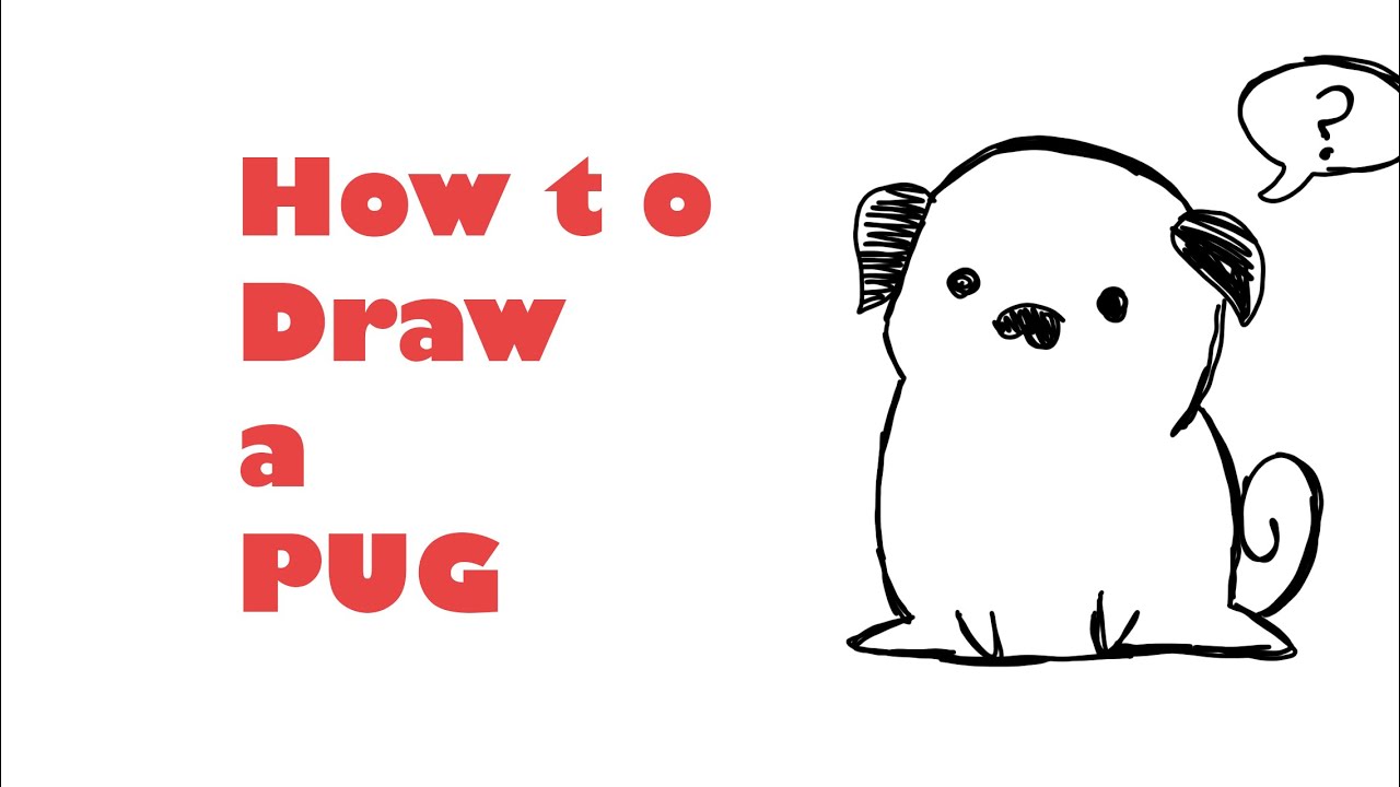 how to draw a pug - YouTube