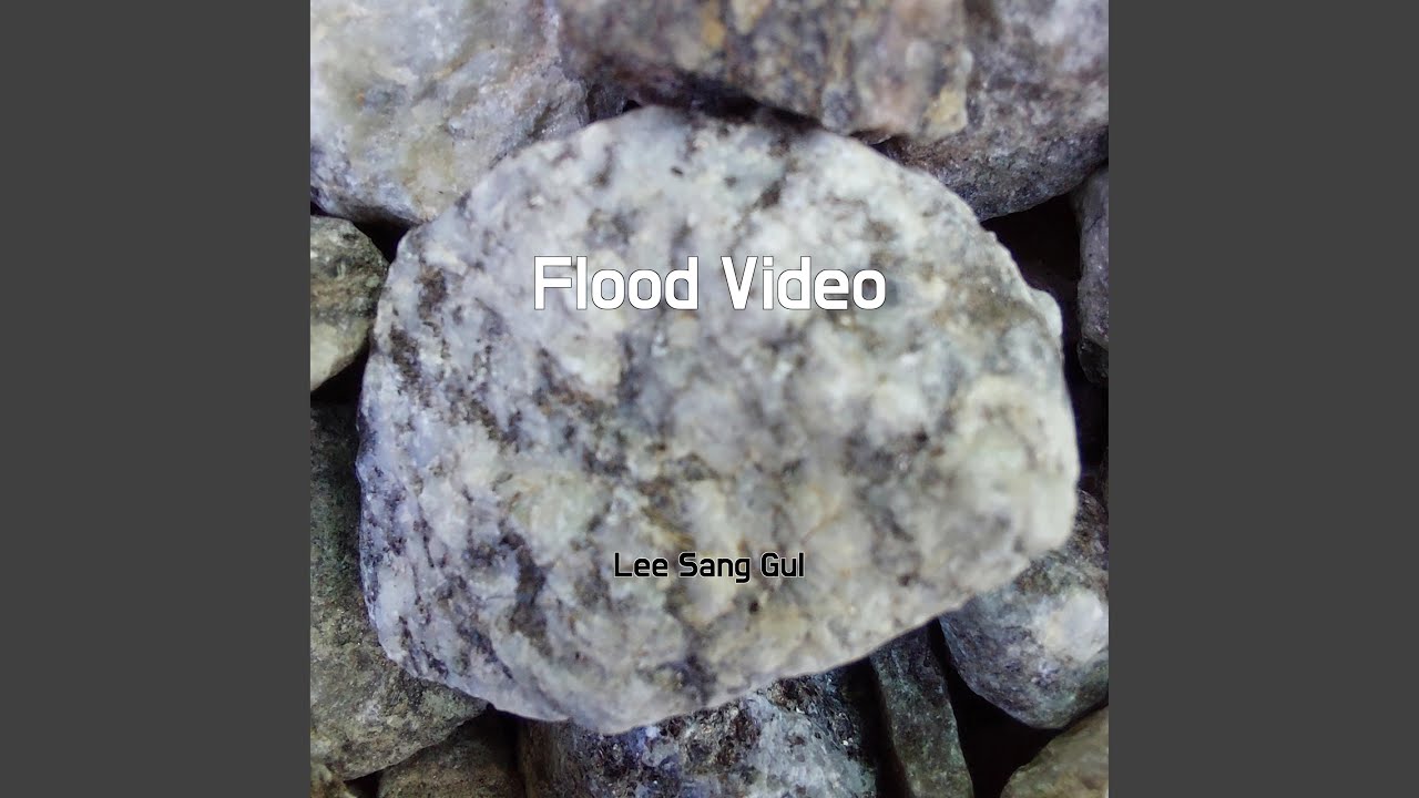 Flood Video