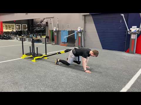 Bear Crawl Sled Drags