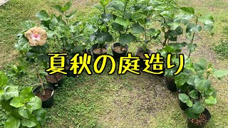【夏秋庭造り】ハイビスカス花壇.コリウス.野菜収穫