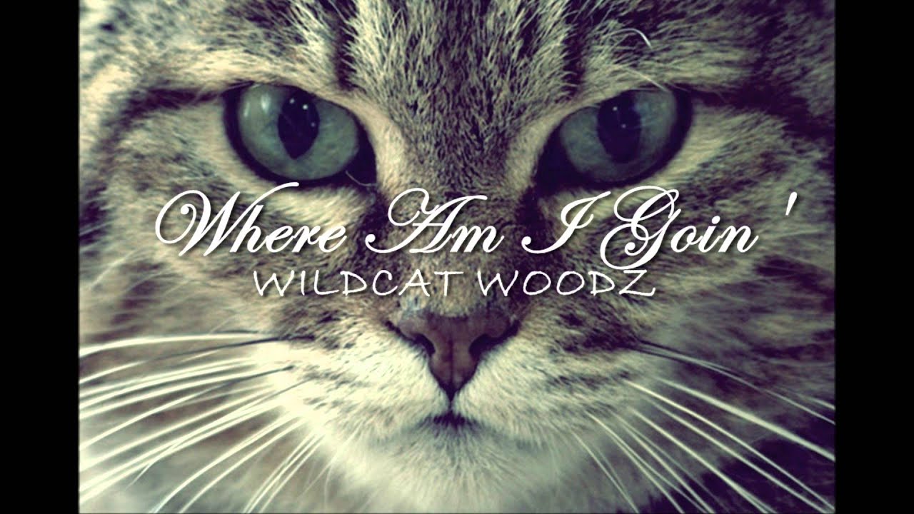 Wildcat Woodz - Where am i Goin' (Prod. by Cripla)