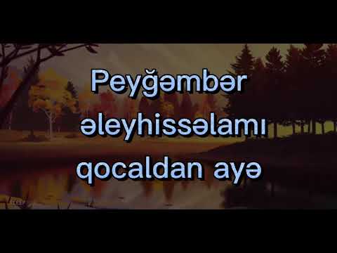 Peyğəmbər əleyhissəlamı qocaldan ayə