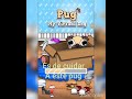 El juego del pug (Juego nuevo en el canal)