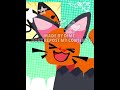 Shrimp the cat!