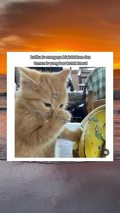 blak blakan sekali ya wkwkw #memecringe #masukberanda #memengakakkocak #fyp