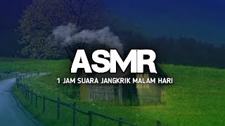 1 Jam Suara Jangkrik Untuk Relaksasi Di Malam Hari