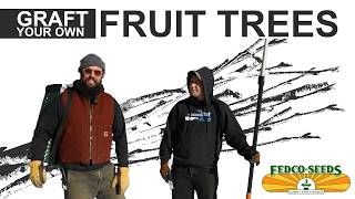 Graft Your Own Fruit Trees! Scion Harvesting with Laura and Jacob