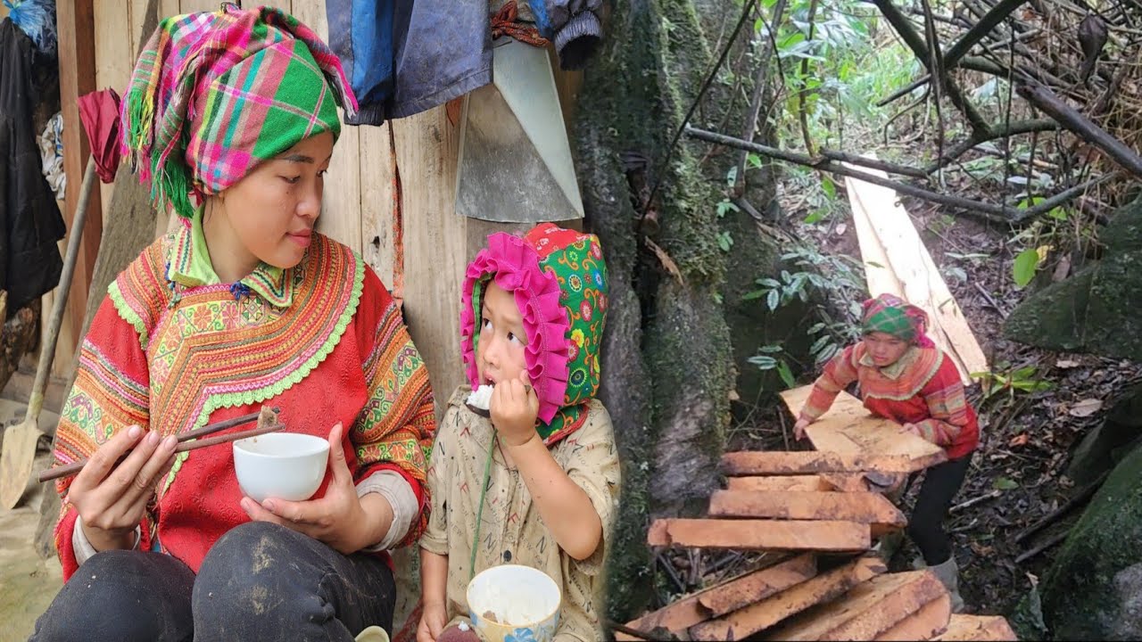 Mom and Tua go carry wood to harvest rice in exchange for food during the harvest season.