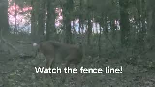 A little surprise at the end