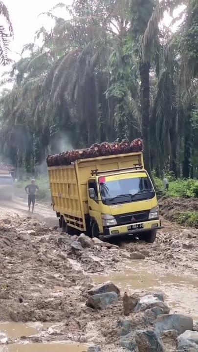 story truk sawit #storytruk #truk_mbois #storytrukmbois #storywa #truck #quotes