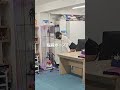 見てはいけないものを見てしまった...