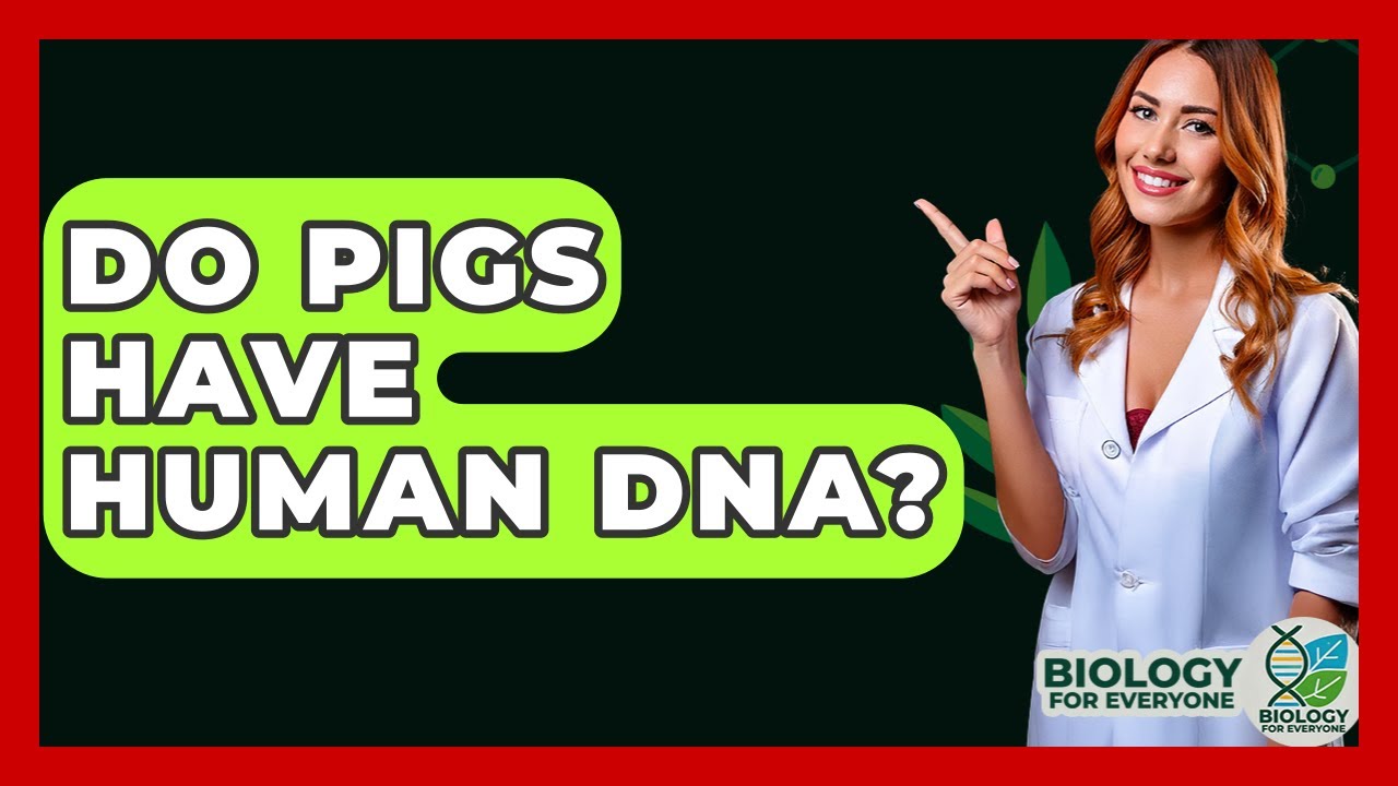 Do Pigs Have Human DNA? - Biology For Everyone