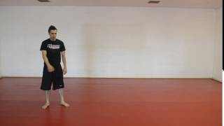 j step moon kick v2