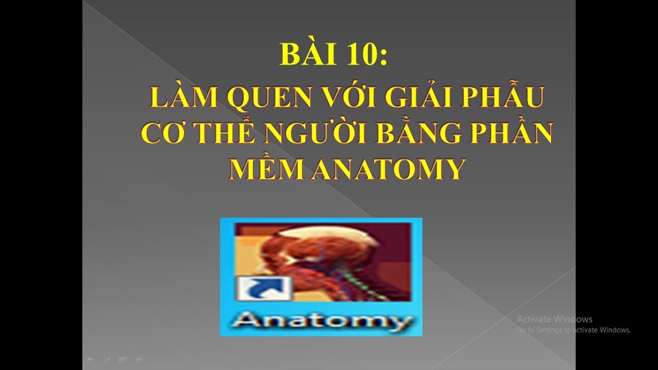 Phần mềm tin học lớp 8 | Bài 10: LÀM QUEN VS GIẢI PHẪU CƠ THỂ NGƯỜI BẰNG PHẦN MỀM ANATOMY | Tin học 8