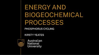 Phosphorus cycling for year 11 and 12 Earth and Environmental Science students