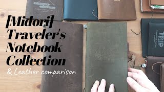 Midori Traveler's Notebook Collection & Leather color comparisons | Traveler's Company