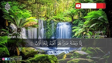 سورة صٓ حسام الدين عبادي