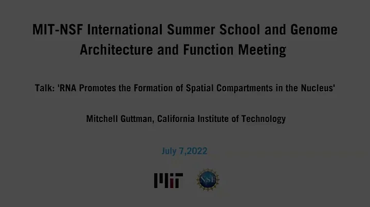 2002 Summer School Lecture: Mitchell Guttman, Cali...