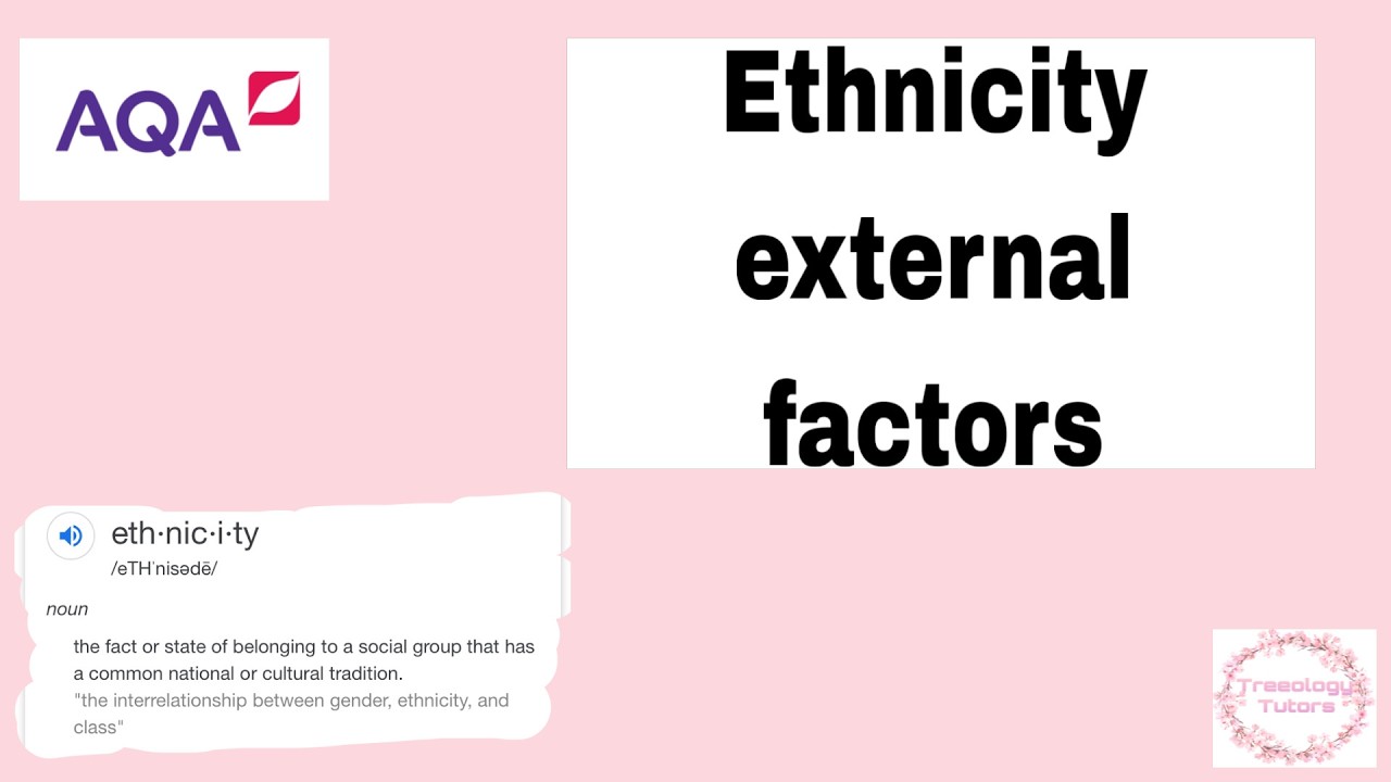 A level sociology: Ethnicity education External Factors (AQA)