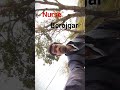 Nurse toh ban gaya, par naukri kab milegi? 😂🏥 #nurse