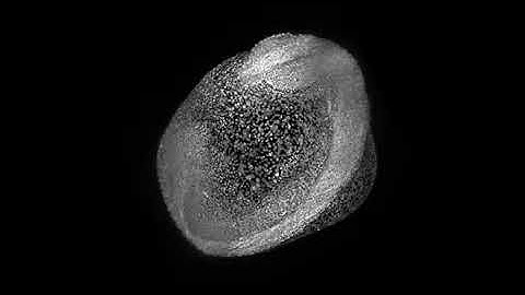 Time Lapse Zebrafish Embryo Development by Dr Andrei Kobitski