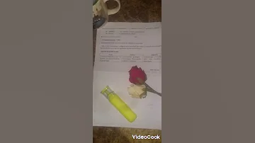 إختبار الفصل الثالث في مادة اللغة الفرنسية للسنة الاولى متوسط 