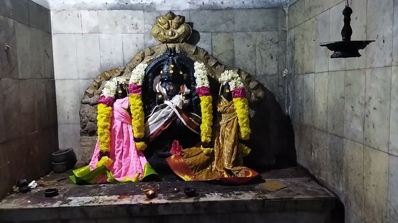 செய்யார் வட்டம், கோவிலூர், ஐயப்பன் கோயில் மகரஜோதி தரிசனம் .15.01.2026