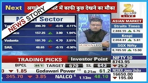 Share Bazaar | Expert