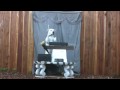 Dog Plays Theremin Bay Area Dog Trainer Circus Class Dog Plays Theremin Bay Area Dog Trainer Circus Class