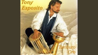 Video thumbnail of "Tony Esposito - Papa Chico"