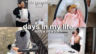 Day in my Life as a New Mom 👼🏼💕 solo parenting, setting a newborn schedule, newborn day in the life