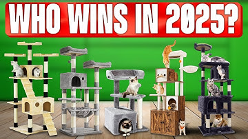TOP 5 Beste Kattenbomen 2025