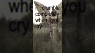 ᵇᵘᵗ ᴵ ᶜʳᵘᵐᵇˡᵉ ᶜᵒᵐᵖˡᵉᵗᵉˡʸ ʷʰᵉⁿ ʸᵒᵘ ᶜʳʸ #lyrics #music #deeplyrics #aesthetic #arcticmonkeys #viral