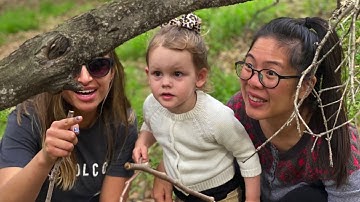 Ponder & Play (Family Official Video)