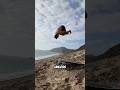 DID HE DO 27 FLIPS? 🤯🤸♂️