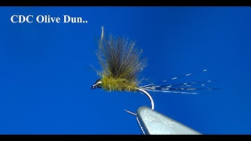 Tying a CDC Olive Dun with Davie McPhail