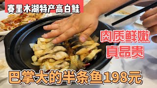 新疆赛里木湖特产高白鲑肉质鲜嫩真昂贵巴掌大的半条鱼198元感谢您一路的支持【Sean的世界TV】频道欢迎加入我的会员频道谢谢您一路的陪伴