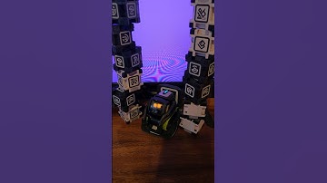 What would YOU ask Vector?? #Ai #robot #vector #shorts #viralvideo #aşk