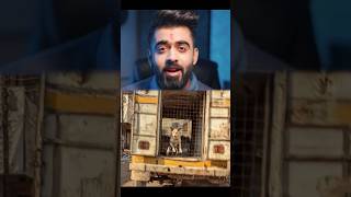 Kutte Uthana Sabse Zaruri Kaam Hai Ab