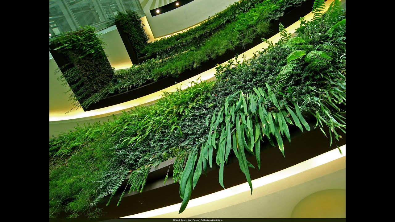 PATRICK BLANC - ZONE INTERDITE