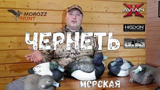 Обзор чучел Морской Чернети Avian-X, GHG и Higdon